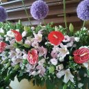 (주)미리본 이미지