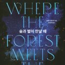 숲과별 이미지