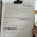 스테이반시