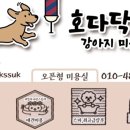 호다닥쑥 이미지