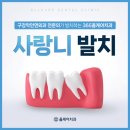 365올케어치과의원 이미지