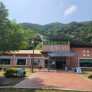 문경 관광사격장 | [문경관광사격장] 스크린부터 공기소총,권총,클레이 사격까지 가능❕내돈내산 후기리뷰, 가격, 할인...