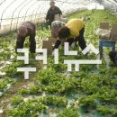 한국농약백화점 이미지