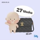휴휴공방 | 임신 27주 일상 / 배크기 몸무게변화 산후도우미 업체선정