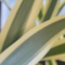 경기시흥내과의원 이미지