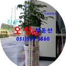 오성프라자 앞 이미지