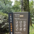 도덕산공원 | 광명 가볼만한 곳, 광명 도덕산 공원 방문 후기(도덕산 출렁다리)