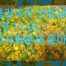 꽃나래허브 이미지
