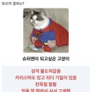 노란무지개
