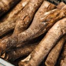 더덕이네 이미지