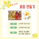 맥시아트협동조합(서구 커뮤니티가드닝센터) ~ 꽃향기 가득 꽃청 만들기,생기가득 허브초 만들기[광주...