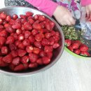 쏘잉마마 이미지