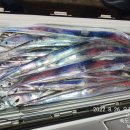 고흥-2호 이미지