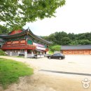 심원사 Daum카페
