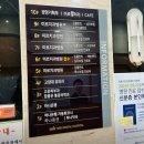 포항 미르치과 스케일링 후기 + 관리방법까지