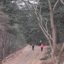 의령나루캠프 | 이제는 진짜 봄이다._③⊙_팔현캠프