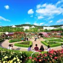 조선대학교 이미지