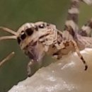 영월지오뮤지엄 이미지