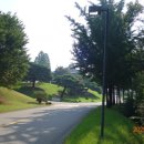 용인자연숲캠핑장 이미지