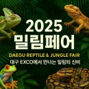 2025 밀림페어(Daegu Reptile &amp; Jungle Fair), 대구 EXCO에서 만나는 밀림의 신비