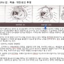 BPM 단계 이미지