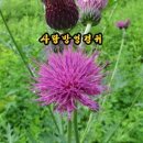 사랑방농원 이미지