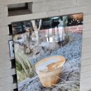 강릉고등학교 | 초당순두부마을 카페 추천! 주차 편하고 들깨커피가 맛있는 카페콥스 후기(툇마루 대신 가봄)