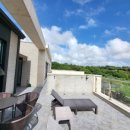 플랜트101 이미지