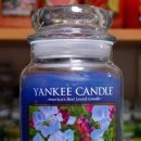 웜웨이브 이미지