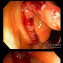 황금내과의원 이미지