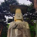 아담장 이미지