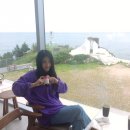 예뻐진데이 | 저분자콜라겐펩타이드 에버콜라겐 인앤업 플러스 4주후기