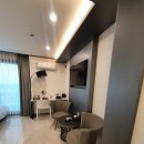 퍼플 315 이미지