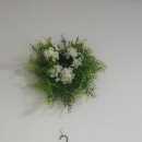 호연빌리지 이미지