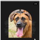 민애농장 이미지