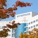 분당-173 이미지