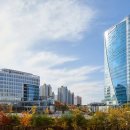 (주)조운약품 이미지