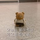 [올바른재활필라테스 목동점] 물리치료사 쌤이 해주는 1:1 재활 필라테스 레슨 후기