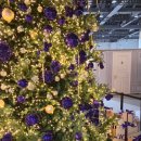 2025년 강서봄빛페스타 | 2025년 컬리푸드페스타｜시식과 사은품으로 가득한 생생후기