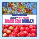 초동축산 | 사과나무 생육 시기별 화상병 증상 알아보기