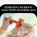 쓱싹 이미지