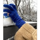 정직마켓 이미지