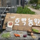 공원앞 호박농원 이미지