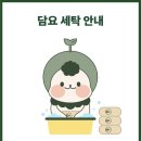 세탁하는날 이미지