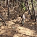 곡성-024 이미지