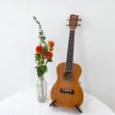 우쿠렐라 이미지