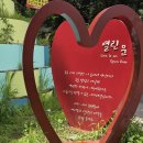 하나로쇼핑단양식육점 | 여름 단양 여행 추천 이끼터널과 사인암 실제 방문 후기