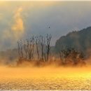 강 민 박 이미지