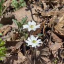 국토종주자전거길1-16 | 국토종주 자전거길 여행(16-1)-섬섬옥수 섬진강 따라 백리 벚꽂길을 달리다(4.7)
