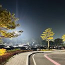 볼빅충주점 | 충주 가성비골프장 대영베이스CC 야간라운딩 후기